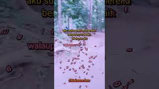 Download lagu kata kata untuk orang yg suka nyinyir mp3 Download lagu kata kata untuk orang yg suka nyinyir mp3