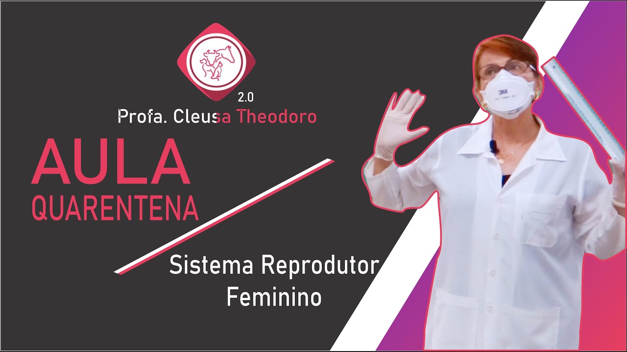 Sistema Reprodutor Feminino