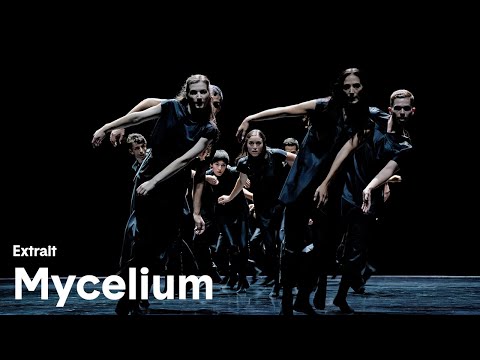 Mycelium - extrait