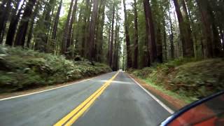 preview picture of video 'Avenue of the Giants, CA Redwoods, Hwy 254'