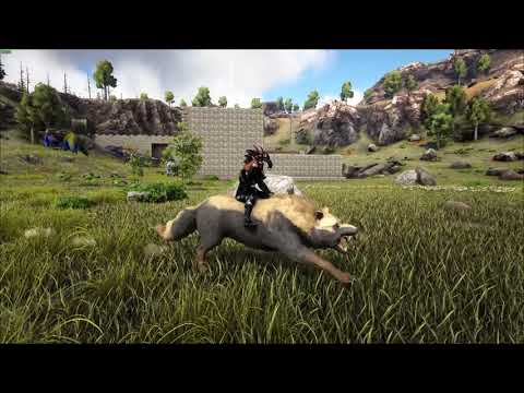 ARK New Direwolf Look and Animation