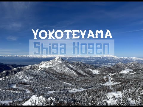 Yokoteyama Ski Resort, Shiga Kogen!