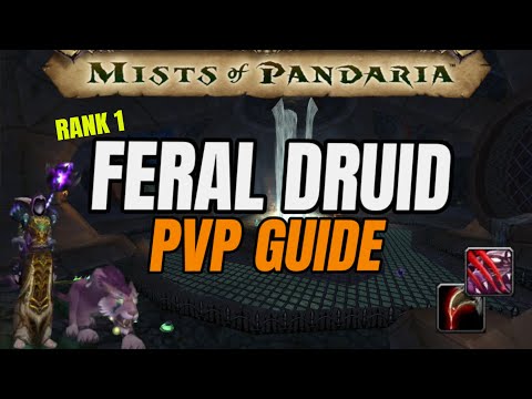 Feral Druid PvP Guide | MoP Classic