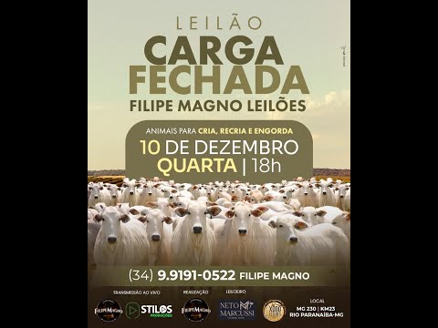 LEILÃO CARGA FECHADA  10/12/2025 - FILIPE MAGNO LEILÕES - RIO PARANAÍBA-MG