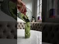 Shamrock CEREAL Shake Tastes Like Ice Cream