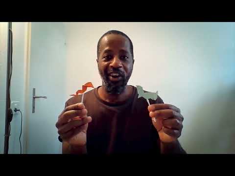 Jake Dixon presents: Cobra vs Mongoose (how it began)