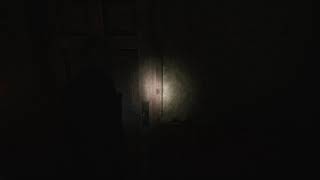 ヒマワリとゆくホラーゲーム列伝～SILENT HILL 2 リメイク～ part.2 ネタばれアリ