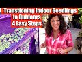 4 Steps to Harden Off (Acclimate/Transition Indoor Seedlings to Outdoors)/First Time Gardener #9