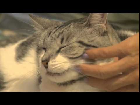 Happy Cuddle Up Day!