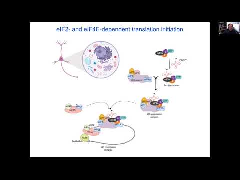 The BRI Joint Seminar In Neuroscience, ICLM Distinguished Lecture - Eric Klann, Ph.D.