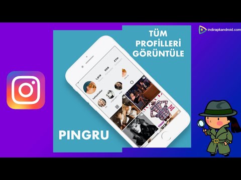 Pingru Web Apk