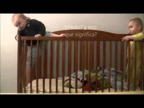 AdrianaBastidasArce’s Video 40917362536 MOUPIl2fEUk