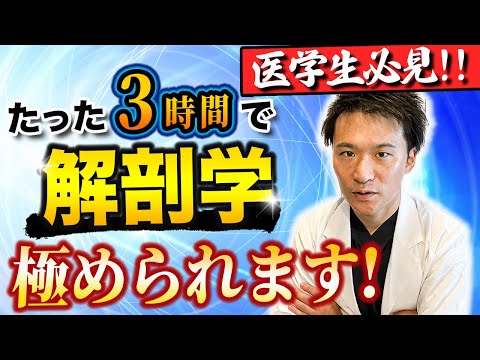 医学科 【もっと早く知りたかった!!】書いて覚えるよりも超効率的!!解剖学の暗記法を、医師講師が解説します！