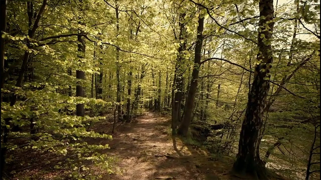 Official Apple Making a difference. One app at a time. Trailer