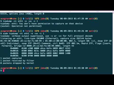 Tcpdump Advanced 1 (Link Layer)