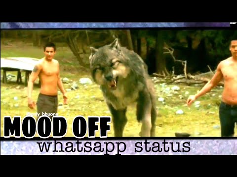 😠MOOD OFF +  HEART TOUCHING whatsapp status #hollybood #moodoff #status #whatsapp #HEART #RINgtone
