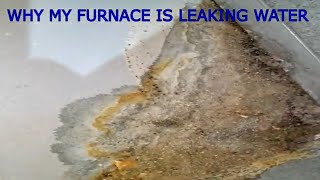 WHY MY FURNACE IS LEAKING WATER