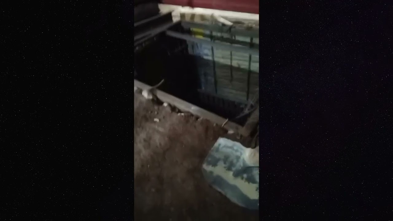 Cuba manda a cavar refugios privados