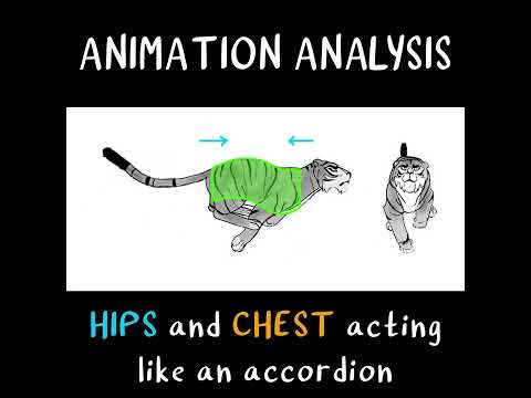 2D Tiger Run (Tamerlan Bekmurzayev)  | ANIMATION ANALYSIS