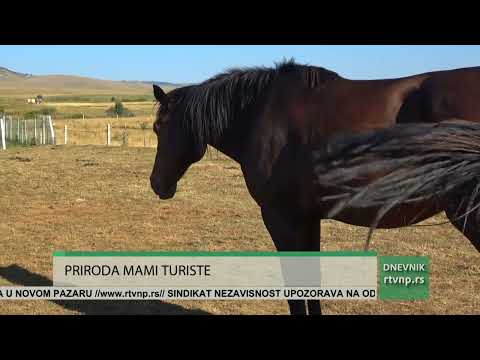 ETNO DOM NA GORNJOJ PEŠTERI DOČEKUJE GOSTE IZ ČITAVOG SVETA