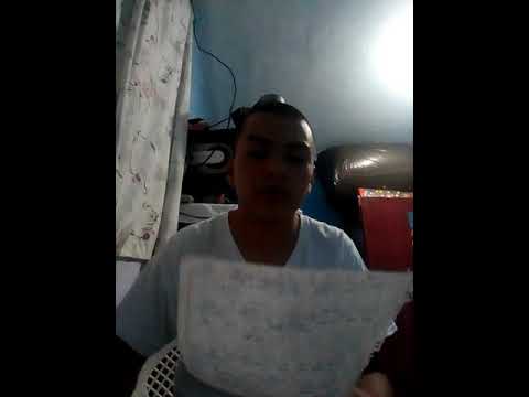 Warrior - No Voy a Caer ( preview ) 2020