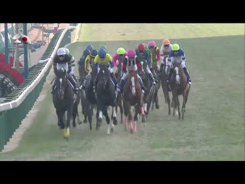 2017 Arima Kinen International Group 1 2500m