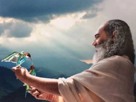 O MISTERIO DO BEIJA FLOR   HINO PREM BABA   CAMINHO DO CORACAO