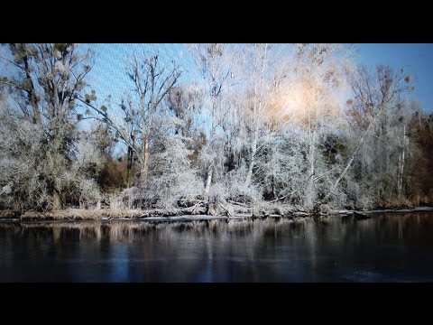 Lehrer, Therapeut, Heiler - Film von Maja Nowak