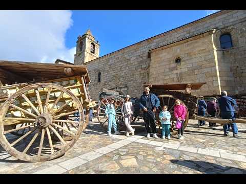 Programa Fiestas del Noveno en San Felices de los Gallegos