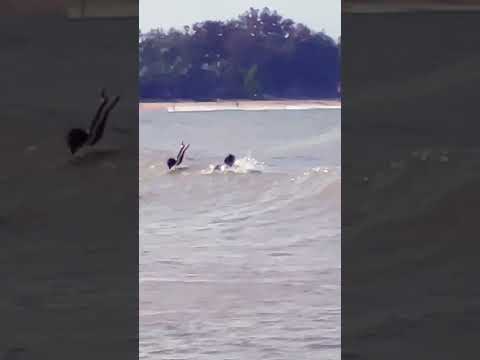 #travel #srilanka #arugambay #nature #