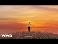 BUNT., The Temper Trap - What If You Fly (Sweet Disposition)