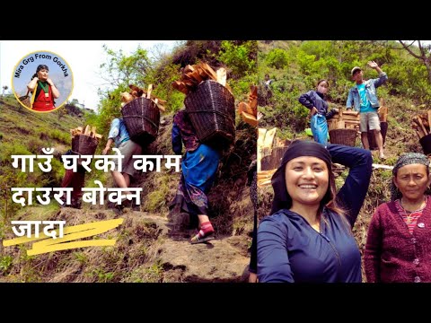 गाउँ घरकाे काम gaule jiban vir pakha okali orali Meera gurung new vlog Barpak gorkha