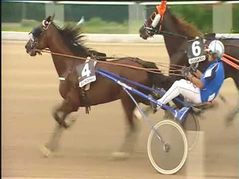 Trotto 07/06/2018 - 7ª corsa