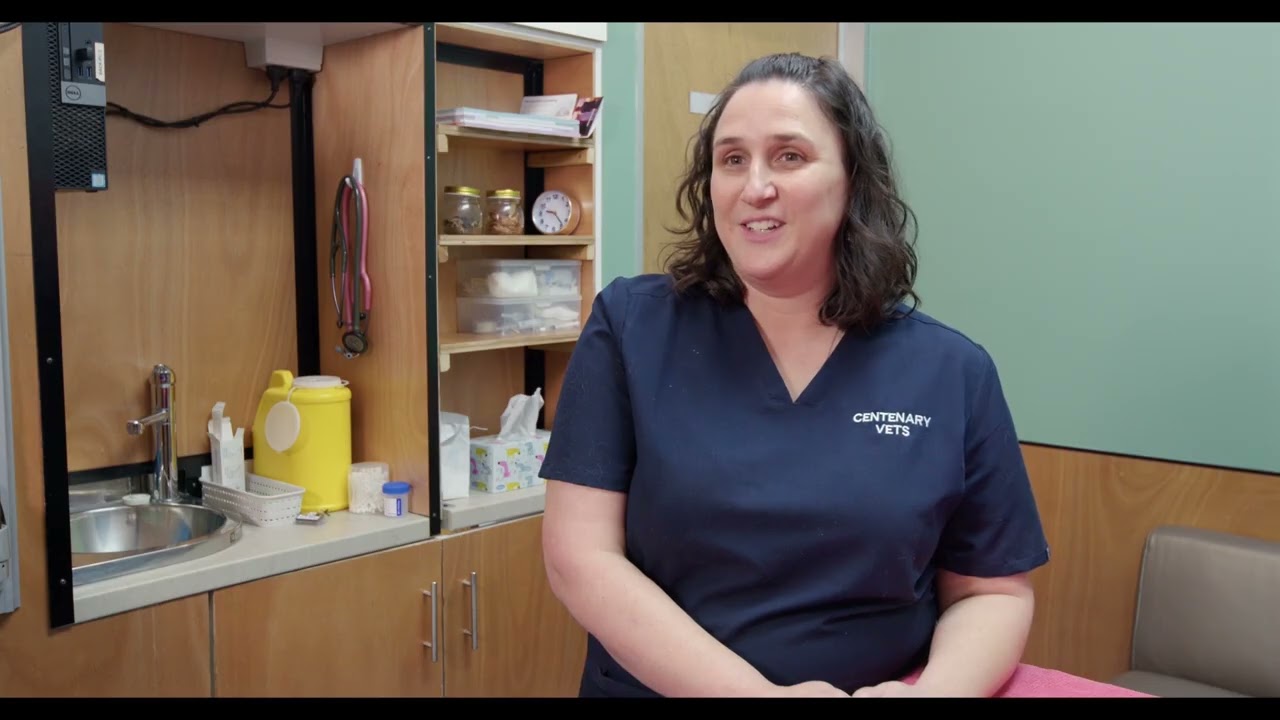 Veterinary professionals share how the HT Vista enhanced their patient care
