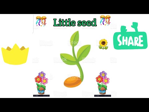 Little  seed🌻😊| kids poem | kids TV1 👩‍👧‍👧🎊🖥