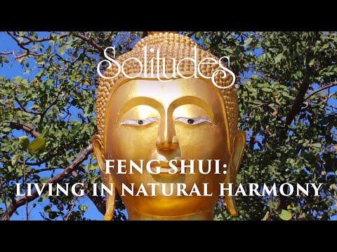 Dan Gibson’s Solitudes - Smooth Metal | Feng Shui: Living in Natural Harmony