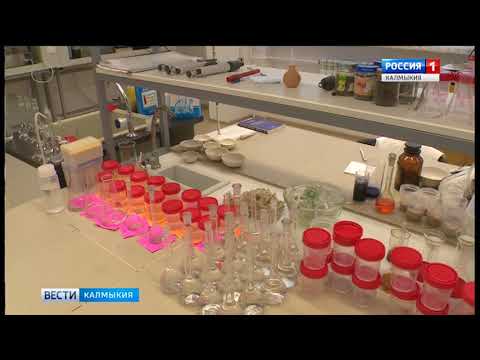 Вести «Калмыкия»: дневной выпуск 14.06.2018