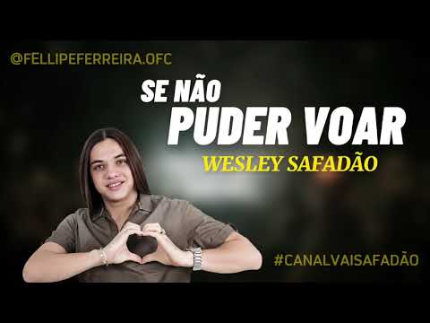 Se não puder Voar - Wesley Safadão
