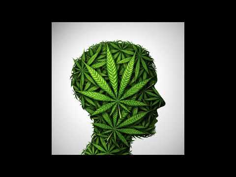 Adi Dokta "4-20" ft -Champee( freestyle)