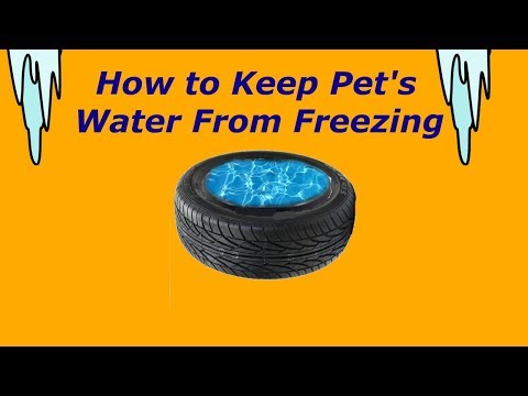 How To Keep Your Pet's Water From Freezing