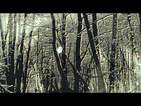SINGUR FIINTA - Orfraie dans la forêt vierge // FULL ALBUM - HD