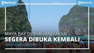 Seusai Ditutup Hampir 3,5 Tahun, Maya Bay di Thailand Segera Buka Kembali pada Januari 2022