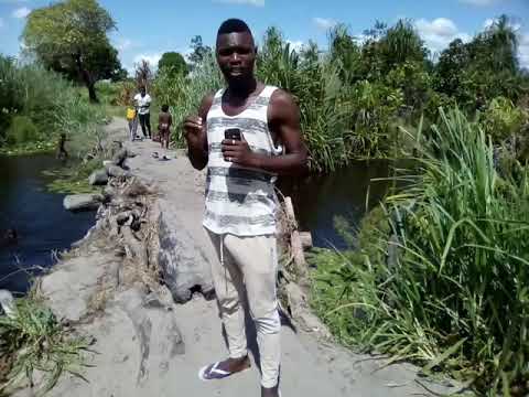 jornalista Nicotina KF