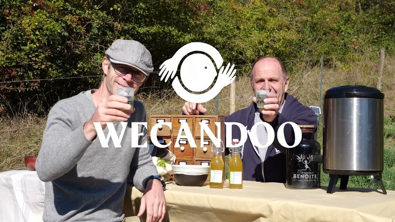Récoltez vos plantes sauvages - Vidéo