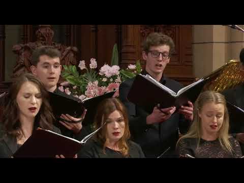 Vytautas Miškinis: Dum medium silentium