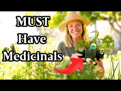 10 Must-Have Herbs That Every Homestead Needs