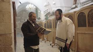 ביקרתי ב-4000 שנות היסטוריה | שברון ישראל