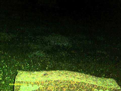 Hazel Green Cemetery Video 4