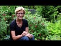 How to grow Hardy Fuchsias/Garden Style nw