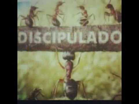 Família video